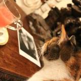 ライトショウカイ(ライトショウカイ)