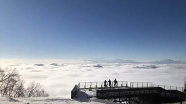 ランド ビュー / 7