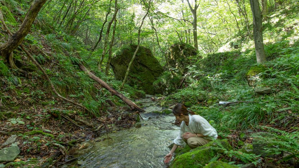 アクティビティ 朝さんぽ / 2