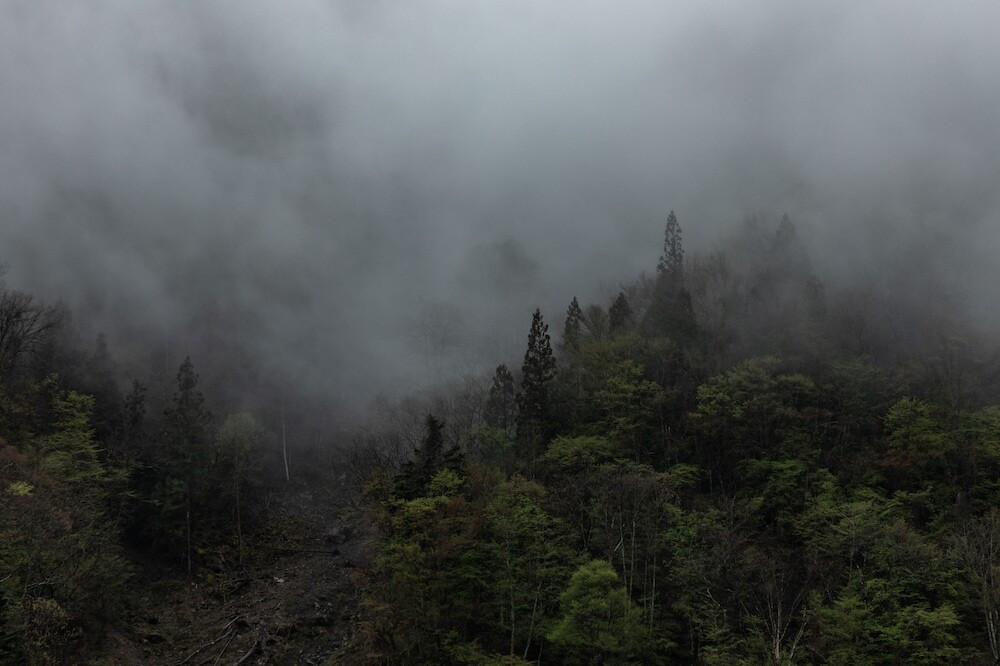 施設からの眺望