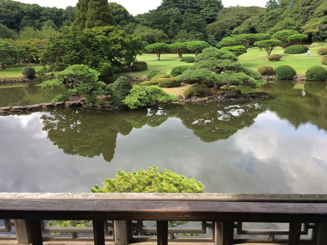 新宿御苑・池②