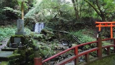 施設の敷地 / 29