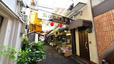 ストリート ビュー / 9