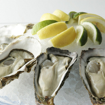 「MAIMON GINZA」料理 661710 