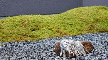 テラス / パティオ / 10