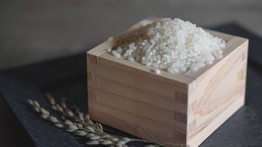 食事・飲み物 / 2