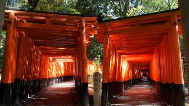 観光スポット / 9