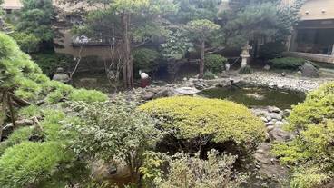 日本庭園 / 24