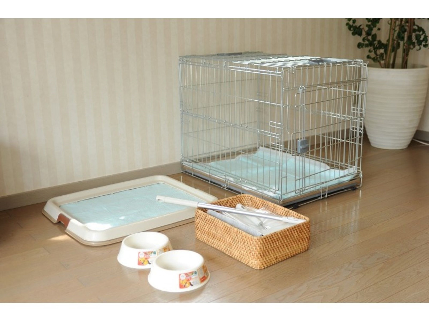 ワンコ&ニャンコにお留守番をさせたくない人に3646138