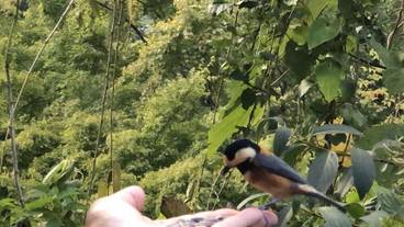 テラス / パティオ / 20