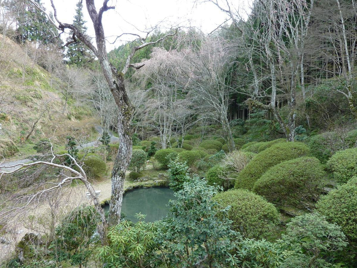 四季を身近に体感。自然豊かな庭園付きの客室4242435