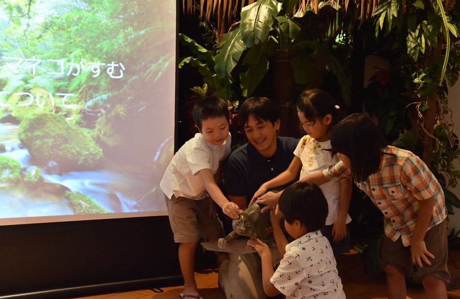 イリオモテヤマネコの学校 / 2