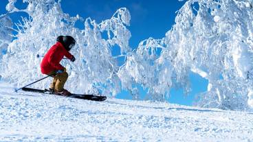 スノー スポーツとスキー / 19