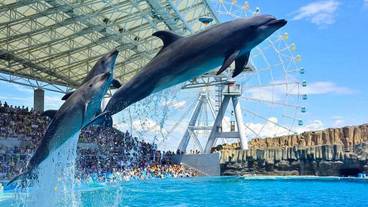 シティ ビュー / 23