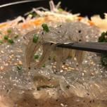 江ノ島の人気店！「とびっちょ 本店」で本物のしらすを味わおう