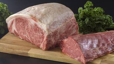 レストラン / 11