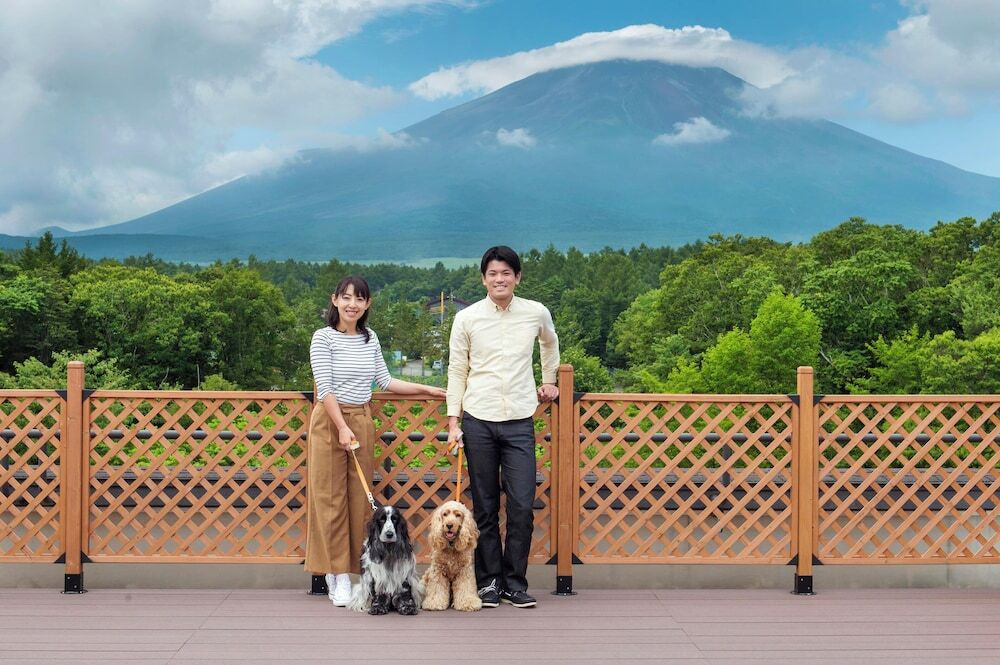 テラス / パティオ