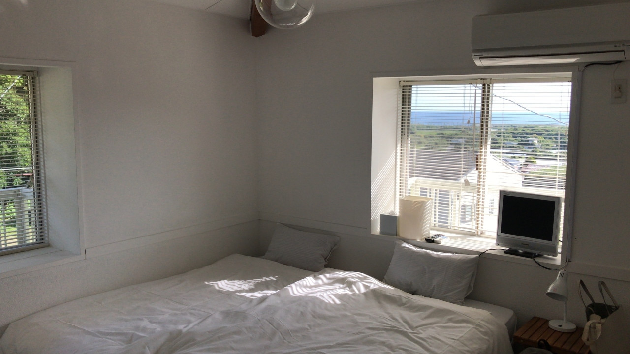 ニャンコたちから、エネルギッシュなパワーをもらえる4260586