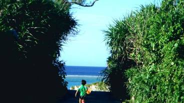 施設からの眺望 / 17