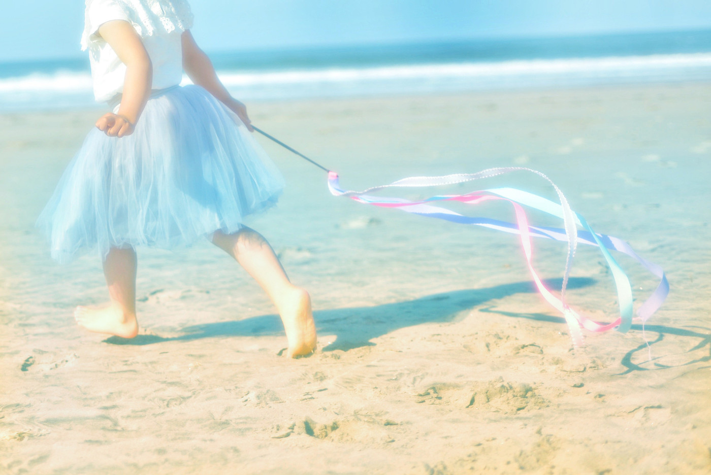 砂浜を駆け回って遊んでいます