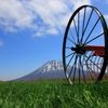 札幌から日帰りで行ける！羊蹄山をぐるっと一周ドライブ観光♪