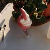 グリナリウム グレイナリー（グリナリウムグレイナリー）