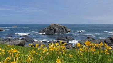 観光スポット / 6