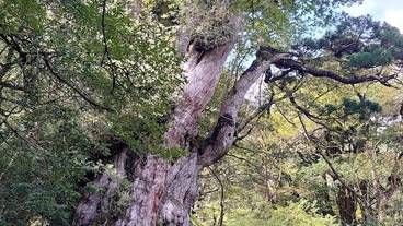 観光スポット / 3