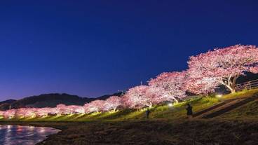 ランド ビュー / 39