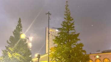 シティ ビュー / 19