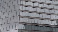 ダイワロイネットホテル広島駅前