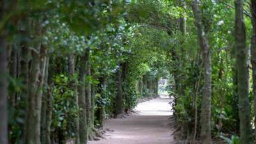 観光スポット / 4