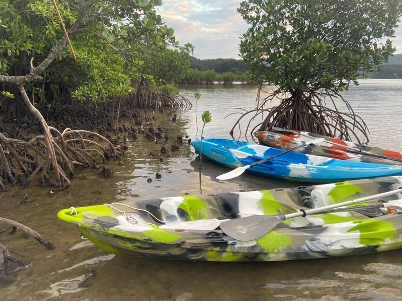 youxiang_1007さんの写真 / 1