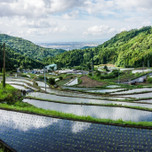 田舎を気ままにのんびり旅しよう。佐賀県「小城」のおすすめグルメ＆観光スポット9選