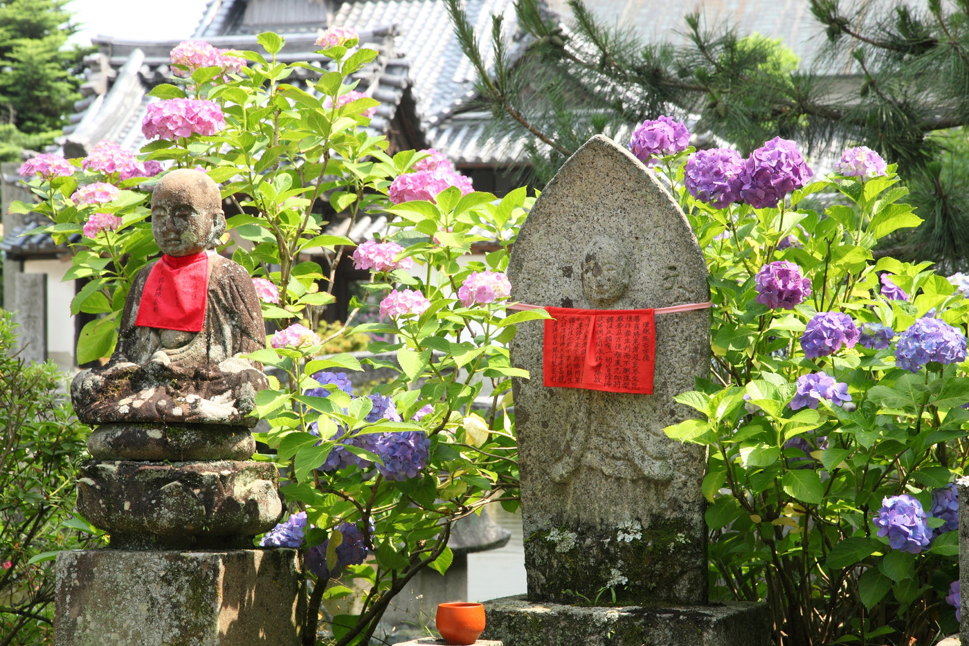 矢田寺のアジサイと石仏