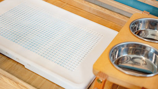 リニューアル ペットルーム 2F 禁煙 (3歳以下のお子様は添い寝となり無料の為, 検索時の予約人数に含めないで下さい)