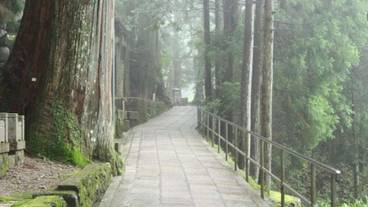 施設の敷地 / 11