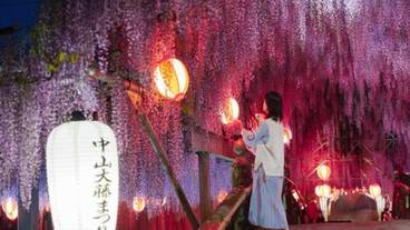 ランド ビュー / 28