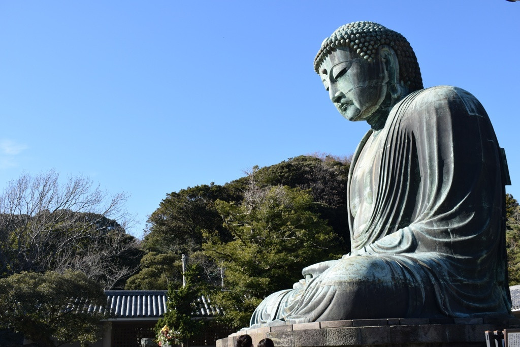 鎌倉の大仏様にもしっかりご挨拶「鎌倉大仏殿高徳院」1871112