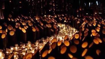 バンケット ホール / 16