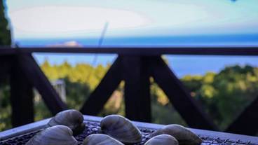 テラス / パティオ / 8