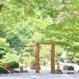 板室温泉 大黒屋