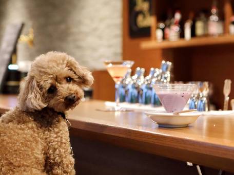 レジーナリゾート軽井沢御影用水 / 1