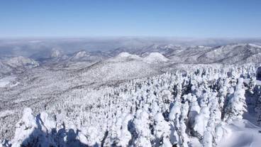 スノー スポーツとスキー / 5