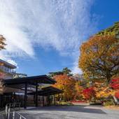 亀の井ホテル 塩原 ワンちゃんの宿(栃木県 旅館) / 5