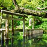 茨城の絶景パワースポット！「鹿島神宮」の御手洗池