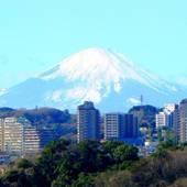 横浜テクノタワーホテル（神奈川県 シティホテル） / 3