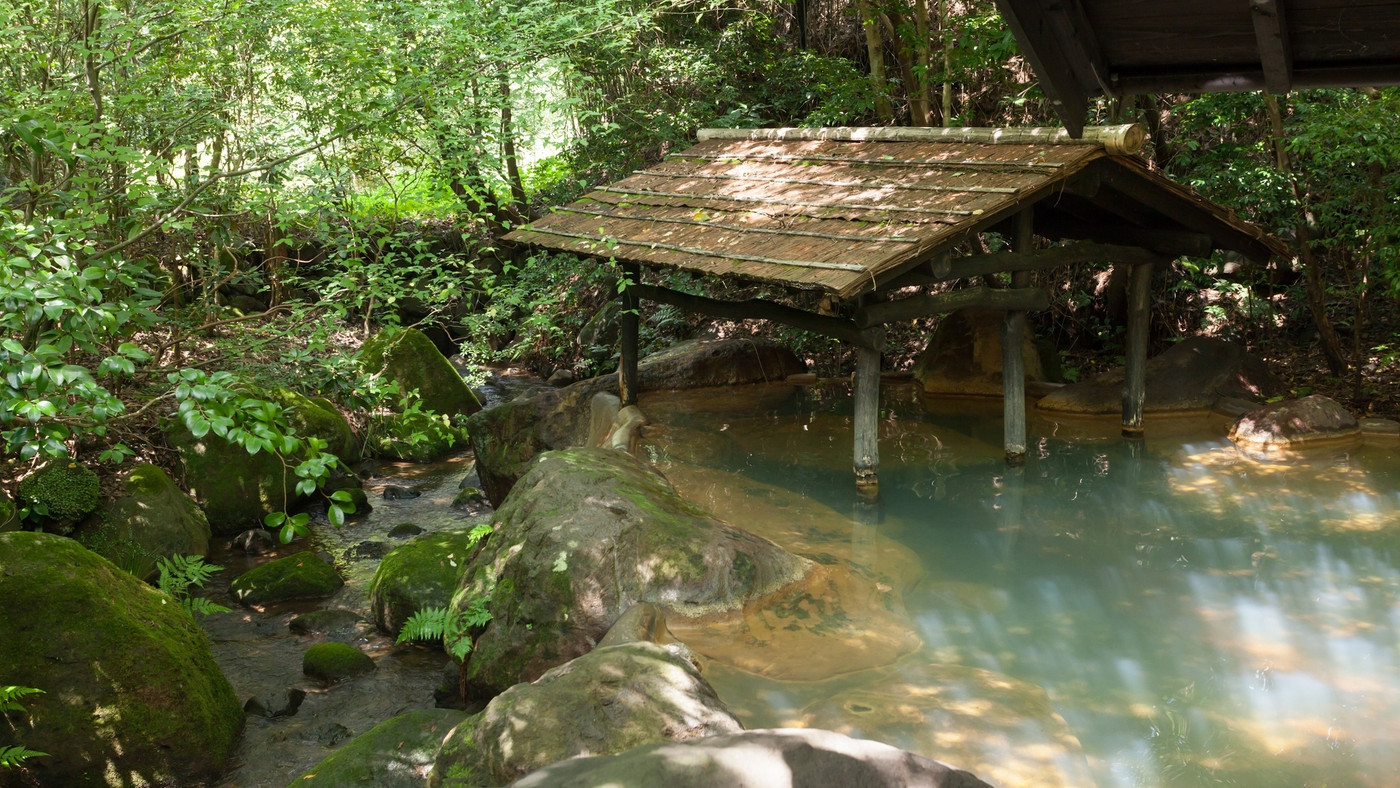 周囲に建物ひとつない、ありのままの自然に抱かれる宿3654769