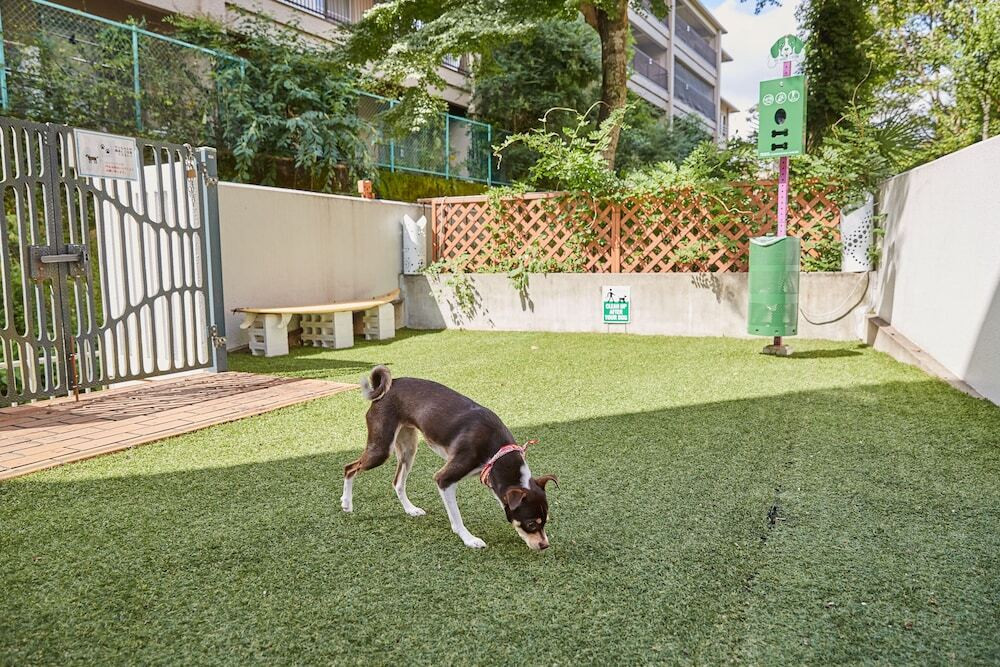 ペット宿泊OK。無料の軽朝食やアクティビティで充実ステイが叶うホテル3983174