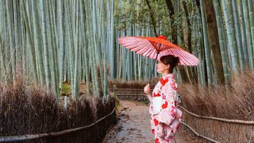 部屋からの景観 / 16